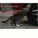 Алєг Сакідон фотография #41 (источник - https://vk.com/id154240612)