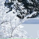 Ілонка Вихопень фотография #11 (источник - https://vk.com/id138294509)