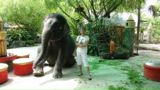 Фотография Башаргиной Вероники