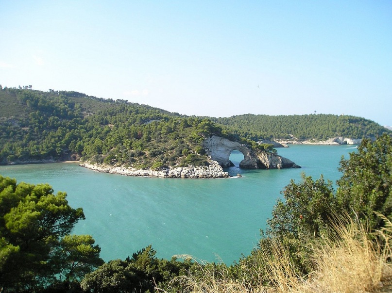 Roberto Vit фотография #43