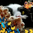 Фотография Лопатовой Ирины