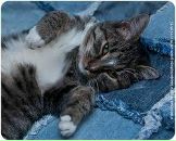 Адріанка Васько фотография #37 (источник - https://vk.com/id61675486)