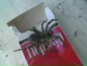 Иван Павлов фотография #46 (источник - https://vk.com/id361896)