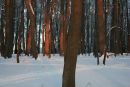 Александр Селиверстов фотография #44 (источник - https://vk.com/id15002080)