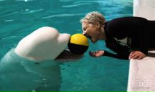 Фотография Arsen'eva Ol'ga