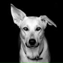 Фотография Заболотских Антонины