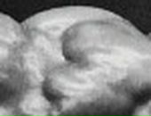 Вася Мераджі фотография #13 (источник - https://vk.com/id91268909)