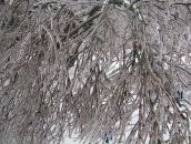 Фотография Котельниковой Ирины