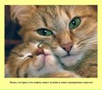 Наталія Кравчук фотография #17 (источник - https://vk.com/id169231227)