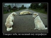 Юрій Рубанік фотография #18 (источник - https://vk.com/id91072730)