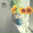 Фотография Сухоцкой Екатерины