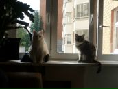 Фотография Каменских Елены