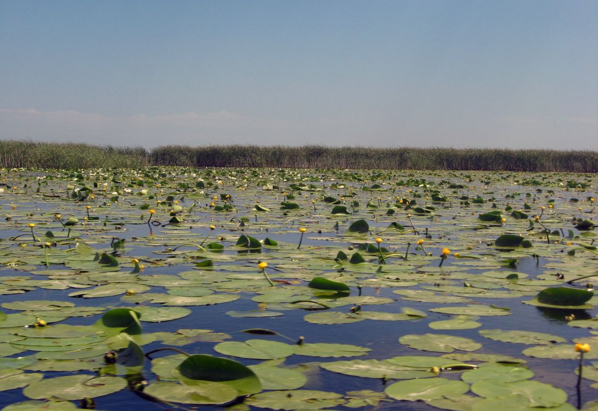 Сергей Маслов фотография #17