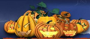 Екатерина Шульга фотография #17 (источник - https://vk.com/id63509643)