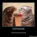 Міша Янішевський фотография #41 (источник - https://vk.com/id53941087)