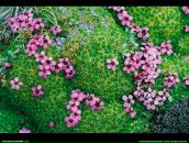 Татьяна Меличенко фотография #20 (источник - https://vk.com/id18894506)