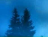 Іван Трейтяк фотография #15 (источник - https://vk.com/id35997607)