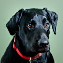 Фотография Лукиной Натальи