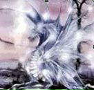 Sergey Suchkov фотография #2 (источник - https://vk.com/id2664137)