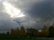 Ромашка Трям фотография #14 (источник - https://vk.com/id3621633)