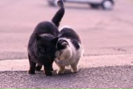 Фотография Кравченко Марины