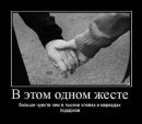Рома Тимофеєв фотография #31 (источник - https://vk.com/id20830054)
