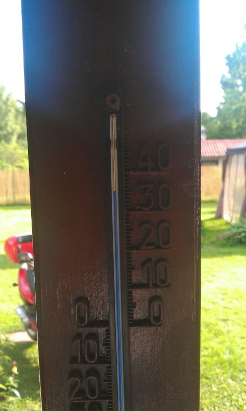 Егор Максимов фотография #12