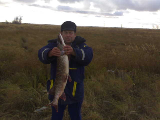 Дмитрий Григорьев фотография #8