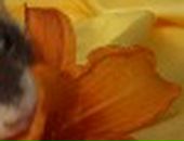 Яна Excale фотография #5 (источник - https://vk.com/id727315)