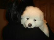 Маша Малімон фотография #33 (источник - https://vk.com/id47243622)