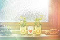 Фотография Гусевой Евгении