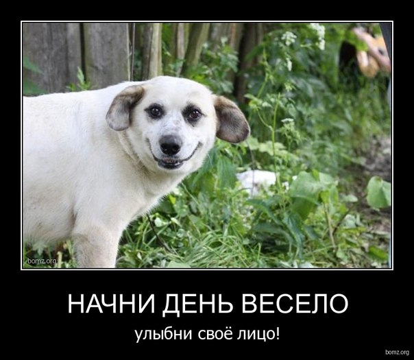 №20, Борис Зильберман №20, Борис Зильберман