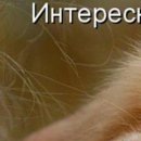 Діма Стоцький фотография #46 (источник - https://vk.com/id78186447)