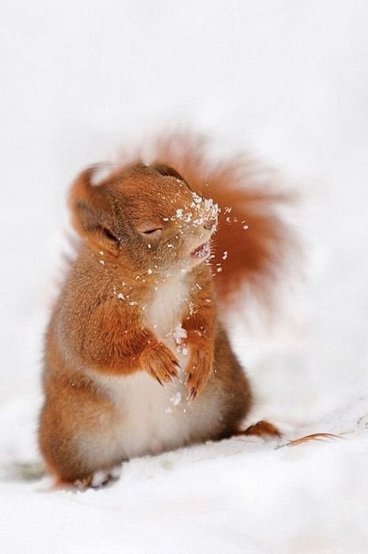 Митяй Чикин фотография #37