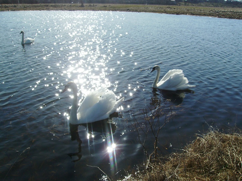 Натали Чепур фотография #47