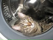 Фотография Клинов Иван