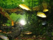 Андрій Ордаш фотография #7 (источник - https://vk.com/id28930375)