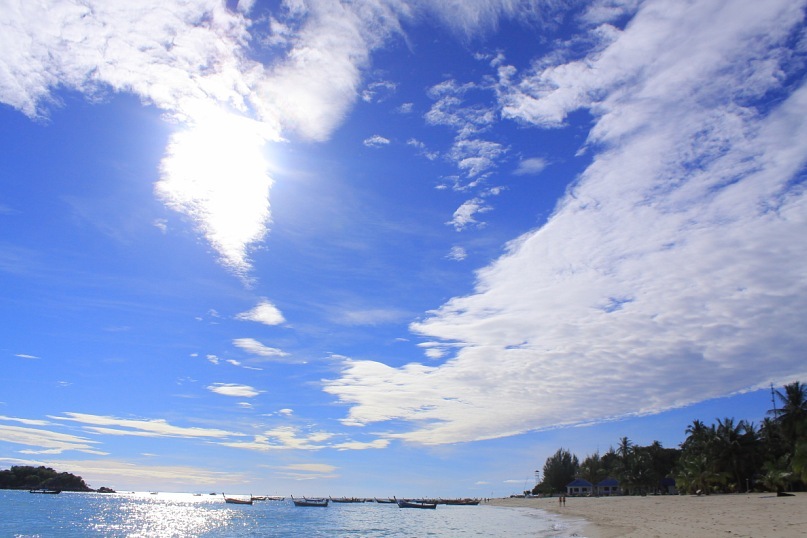 Den Dzo фотография #25