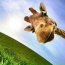 Фотография Собиновой Юлии