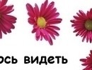 Світланка Благун фотография #31 (источник - https://vk.com/id138671124)