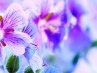 Оксана Коптєва фотография #11 (источник - https://vk.com/id162272161)