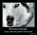 Ігорь Варченко фотография #2 (источник - https://vk.com/id54215051)