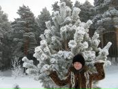 Фотография Марининовой Анастасии