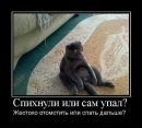 Міша Вознюк фотография #50 (источник - https://vk.com/id34819083)