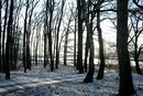 Андрій Пташніченко фотография #36 (источник - https://vk.com/id140301693)
