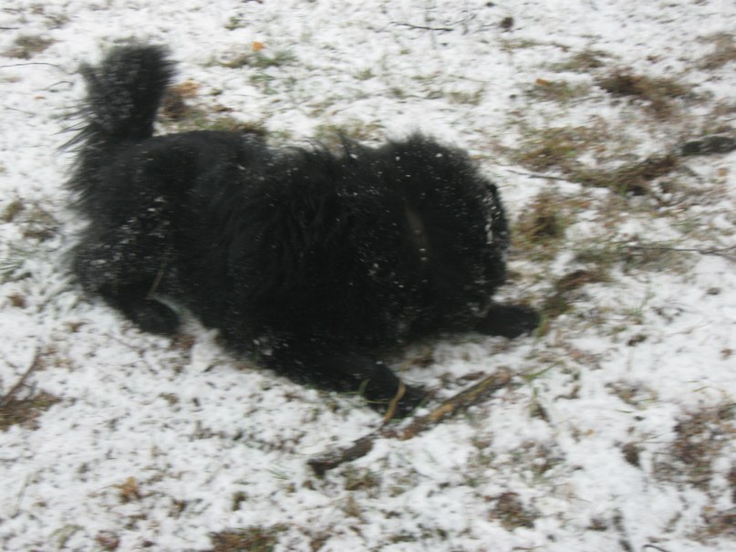 Дмитрий Худяков фотография #46