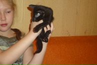 Фотография Сулеймановой Алины