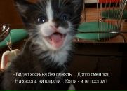 Андрій Кузьмак фотография #27 (источник - https://vk.com/id116022319)
