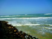 Андрій Захаров фотография #33 (источник - https://vk.com/id90444013)