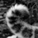 Ігор Шутурма фотография #27 (источник - https://vk.com/id122805674)